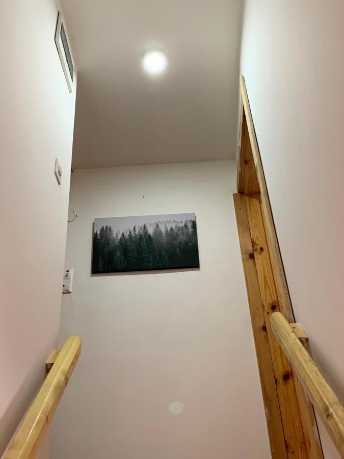 Mountain Vista Chalet Zabljak  Ngoại thất bức ảnh